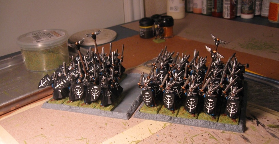 Citadel Guard Gondor