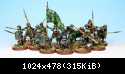 Arnor Warband